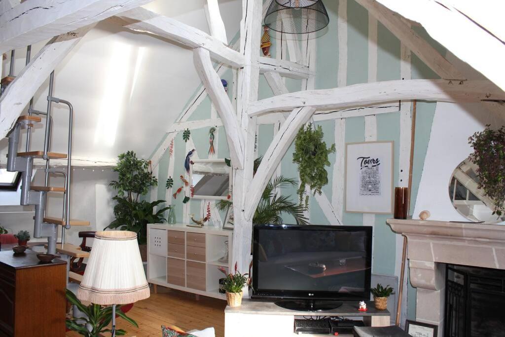 Charmant Appartement Vieux Tours Ngoại thất bức ảnh
