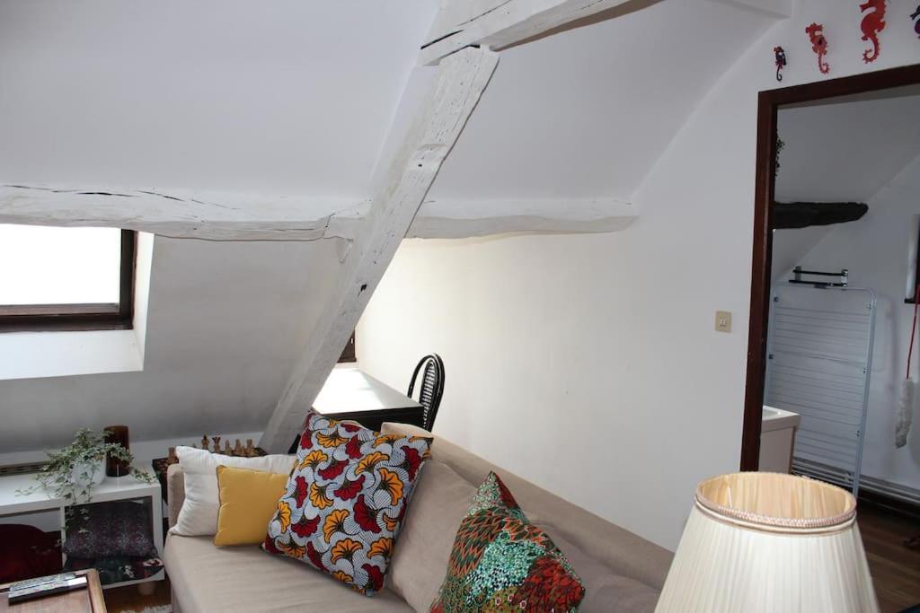 Charmant Appartement Vieux Tours Ngoại thất bức ảnh